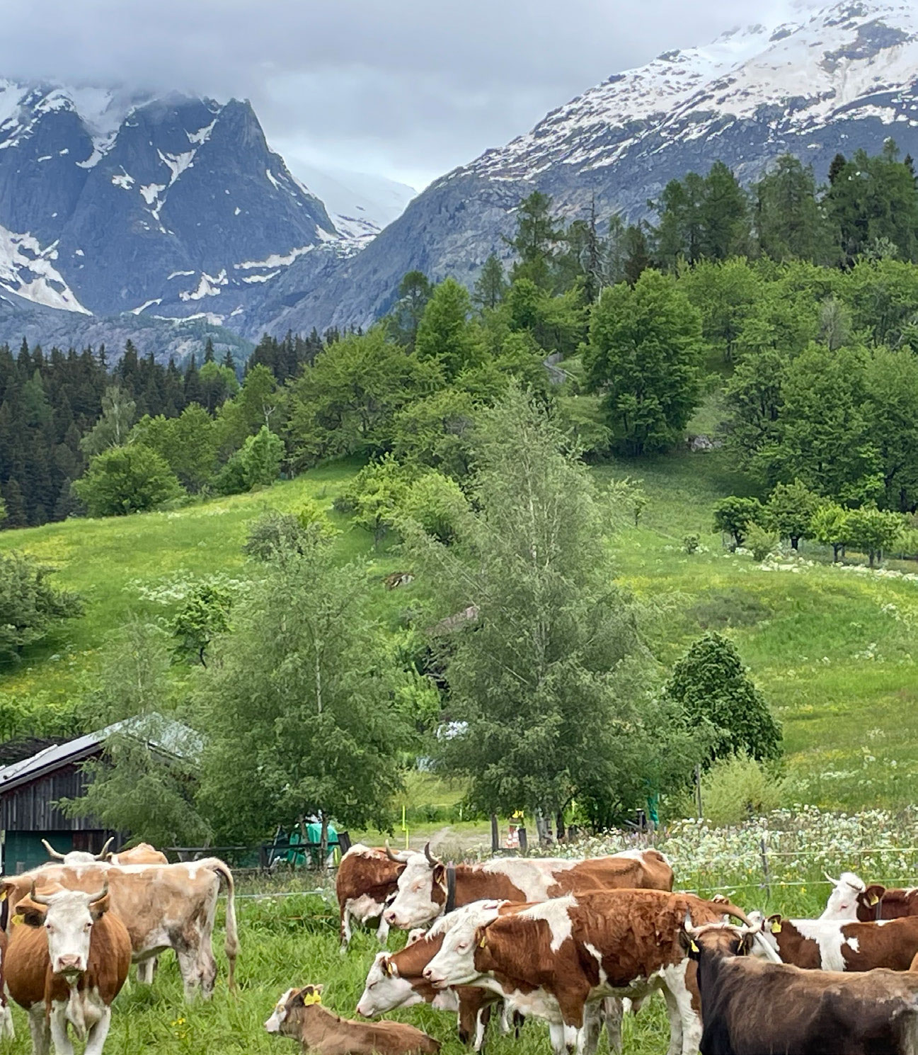 Ernen